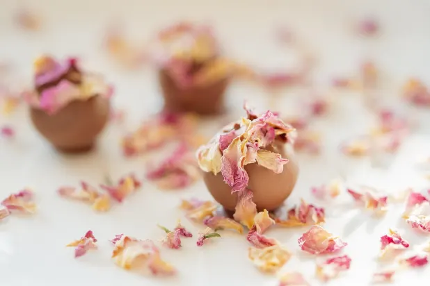 Tusk Casino App Android/iOS